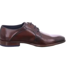 Business Schuhe braun